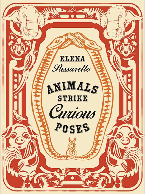 Cover image for Animals Strike Curious Poses